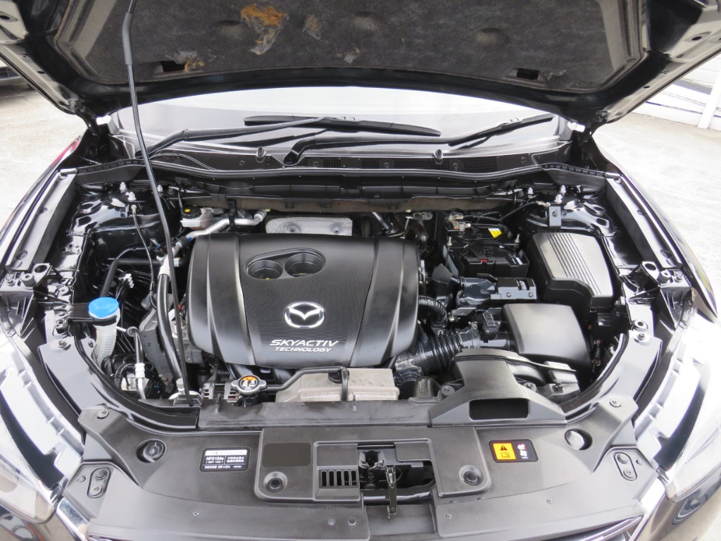 S8094721.jpg
