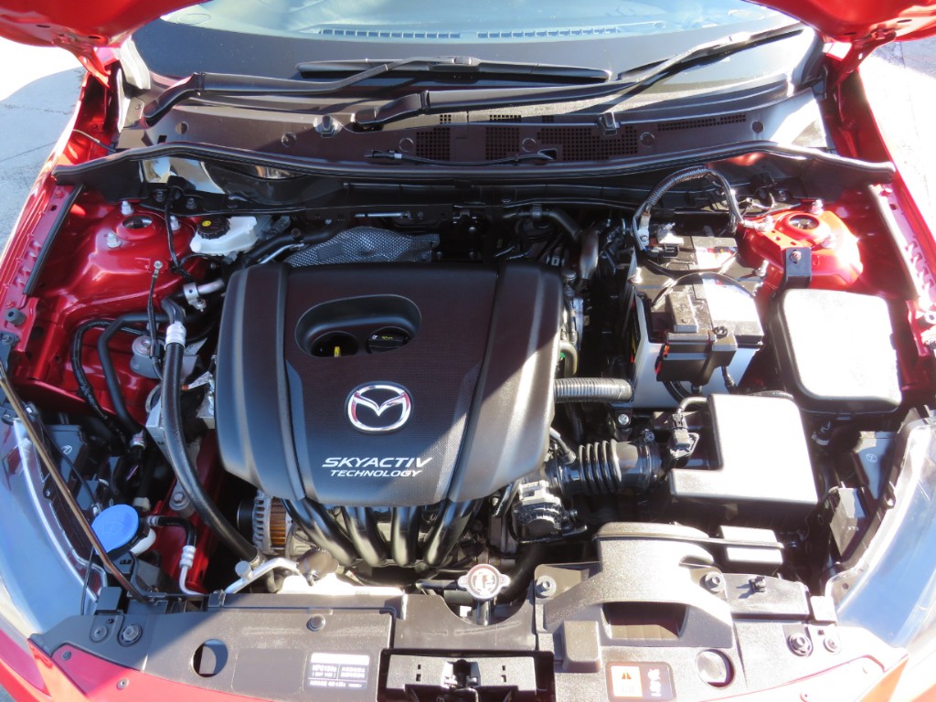 S8095019.jpg