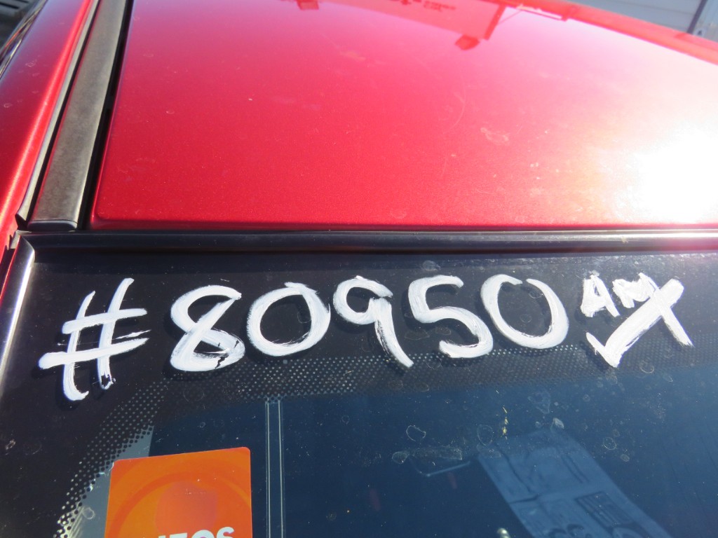 S8095020.jpg