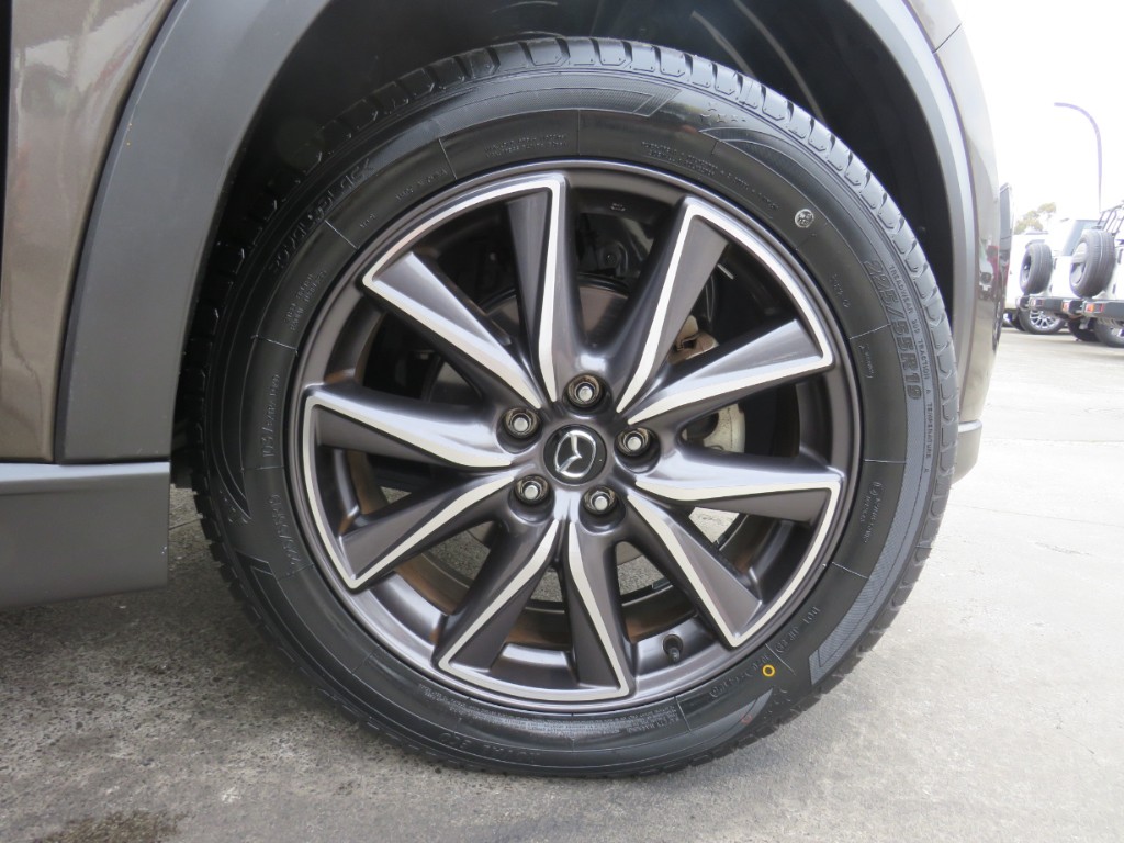 S8096210.jpg