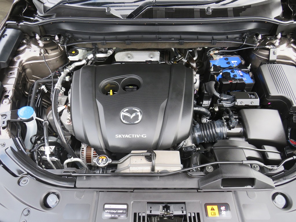 S8096221.jpg