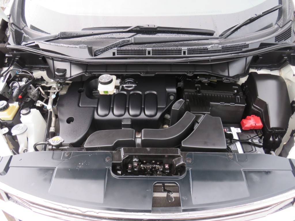S8096520.jpg