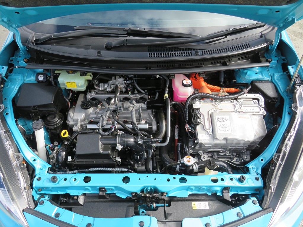 S8097220.jpg