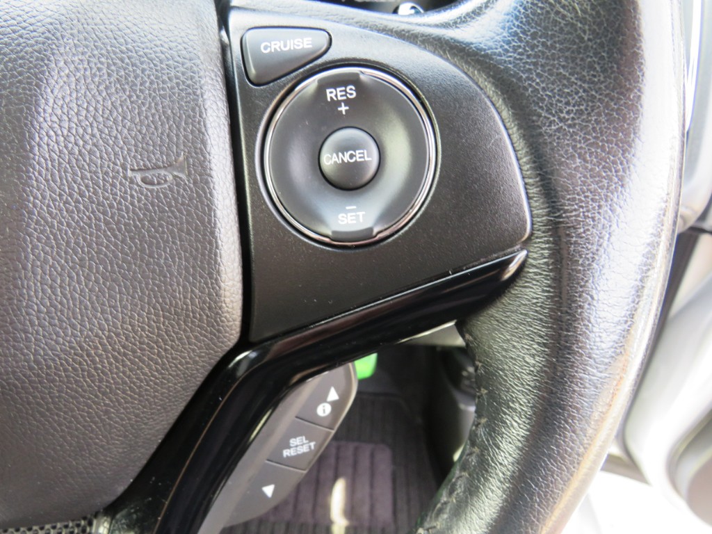 S8097317.jpg