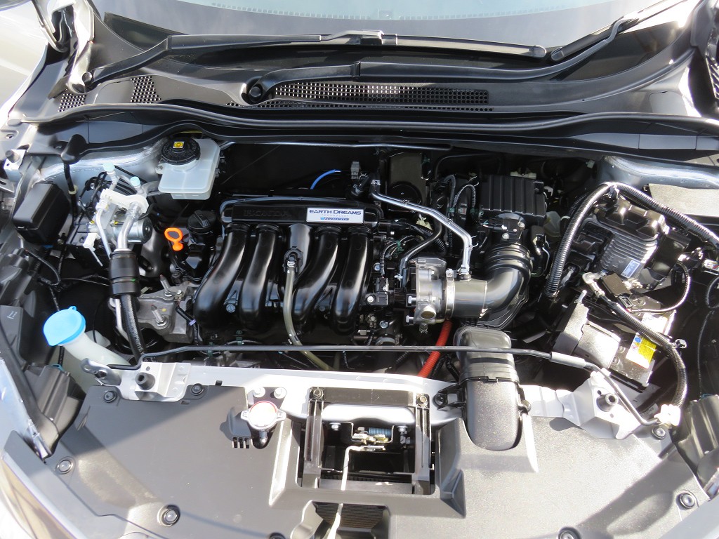 S8097320.jpg