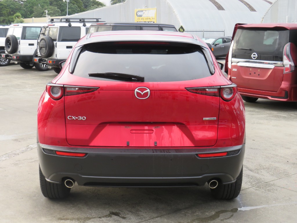 S809757.jpg