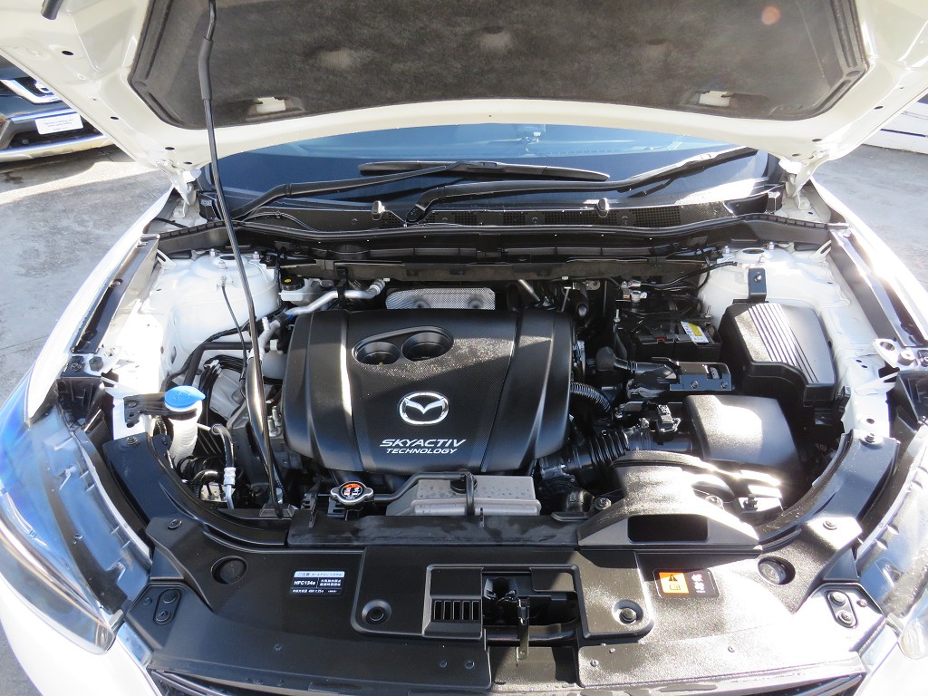 S8097619.jpg