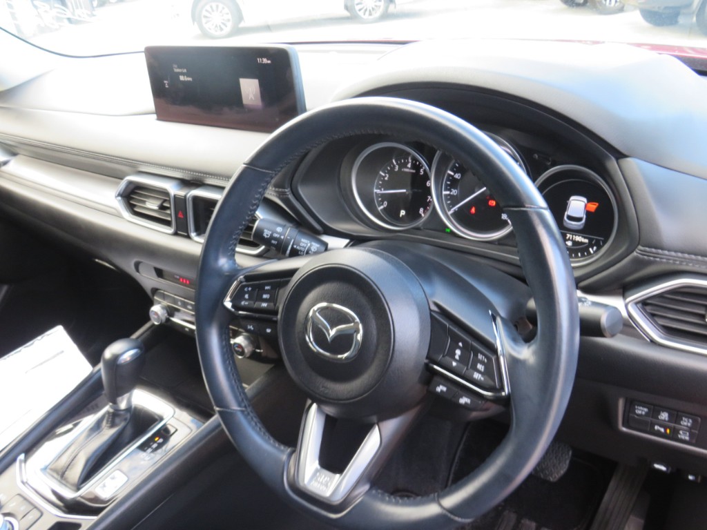 S8097715.jpg