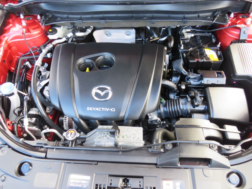 S8097721.jpg
