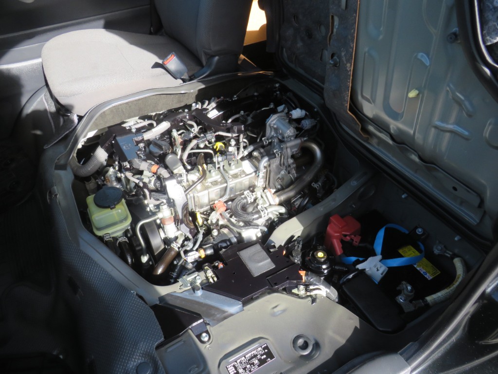 S8098718.jpg
