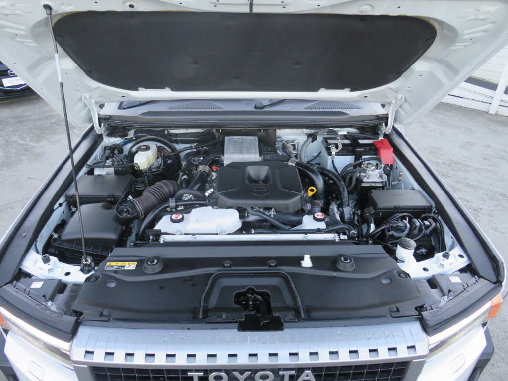 S8098821.jpg