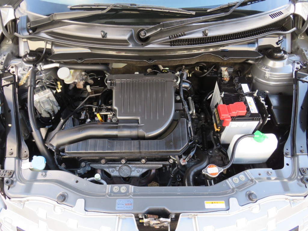 S8098919.jpg
