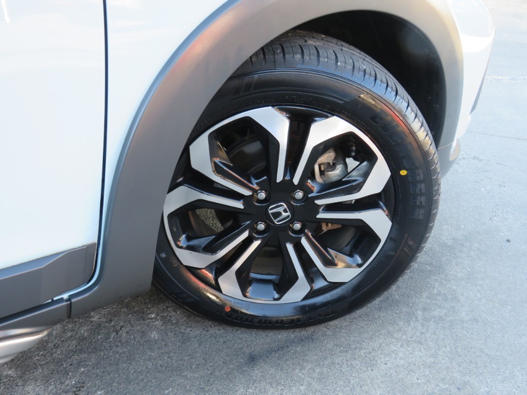 S809929.jpg