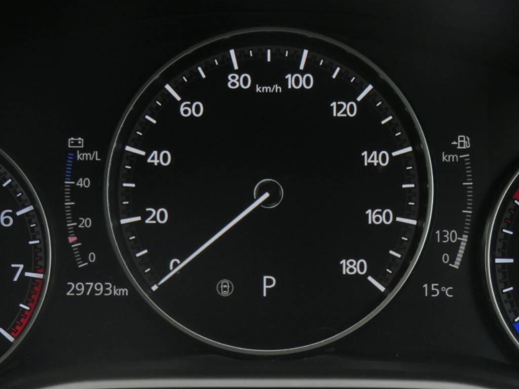 S8099618.jpg