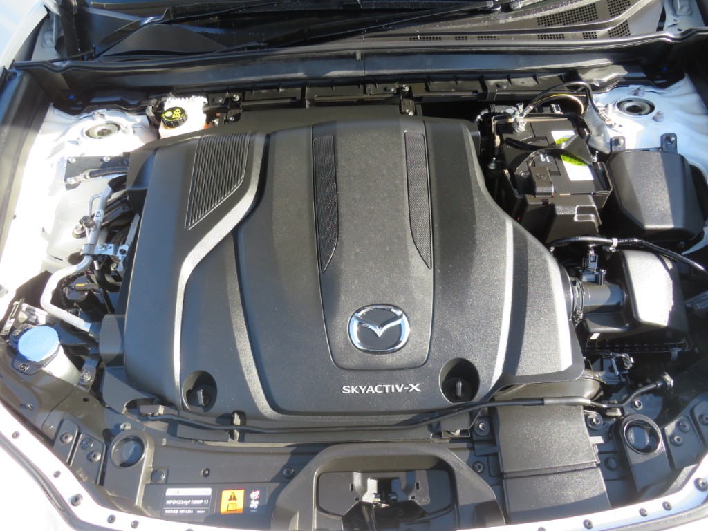 S8099721.jpg