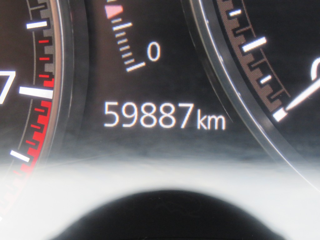 S8099820.jpg