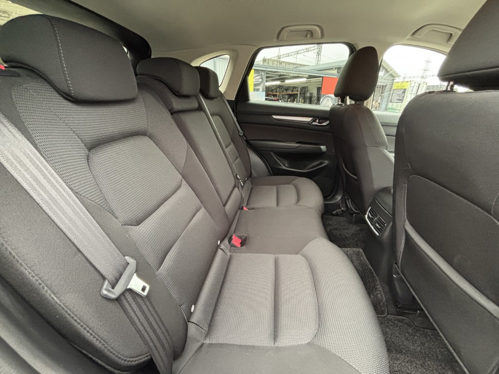 S8099910.jpg