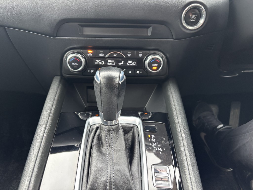 S8099915.jpg