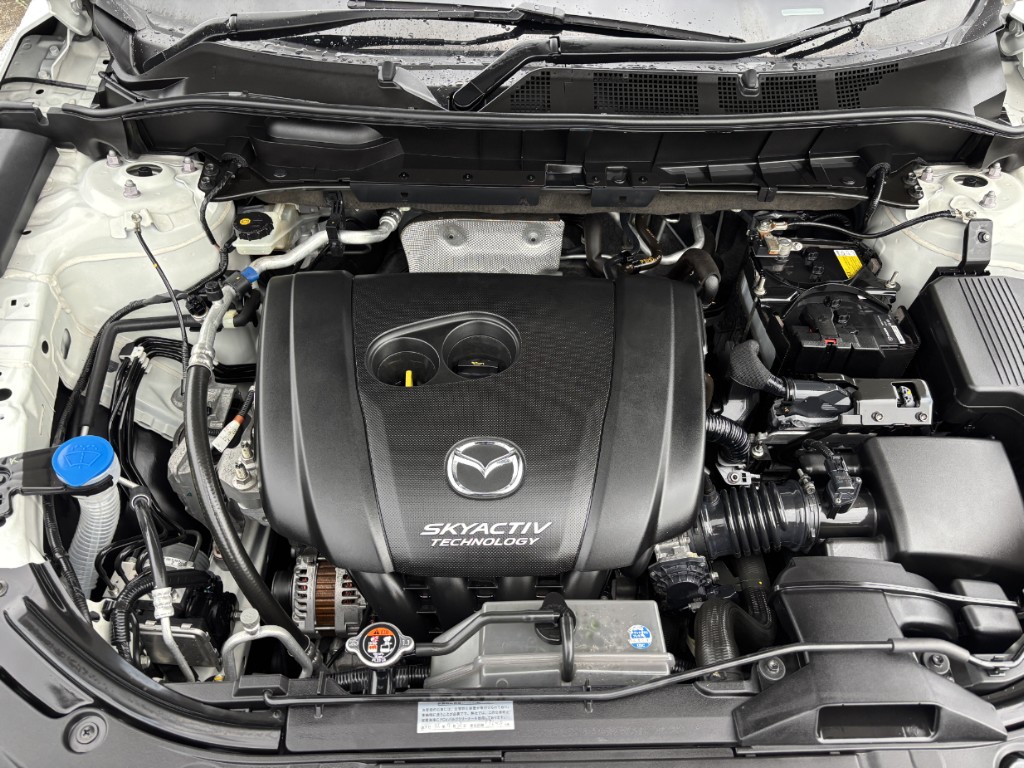 S8099919.jpg