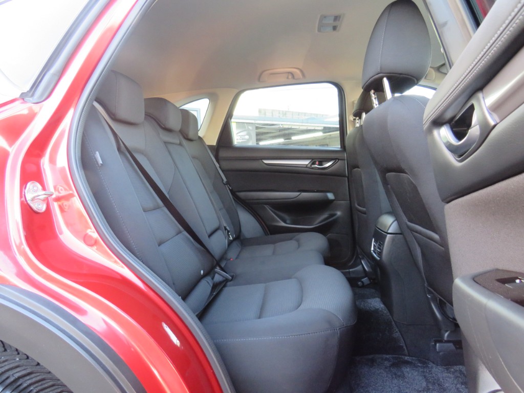 S8100011.jpg