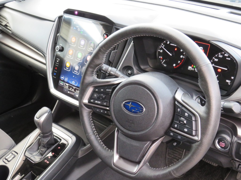 S8100815.jpg