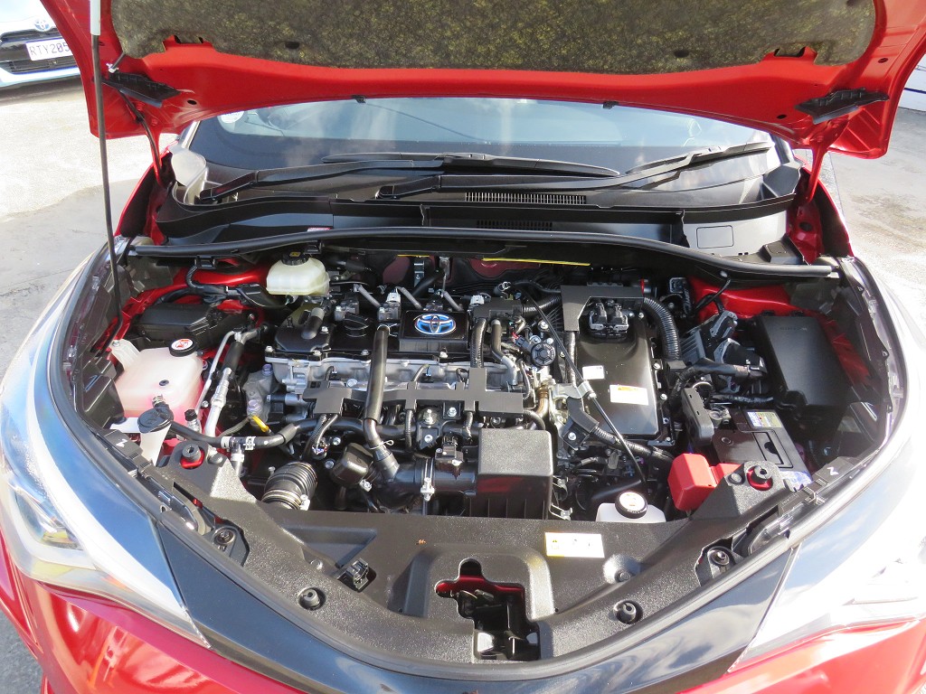 S8101520.jpg