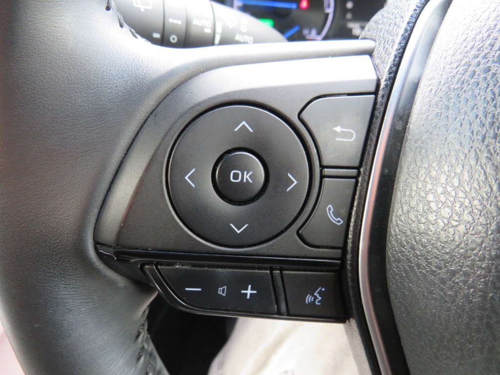 S8101815.jpg