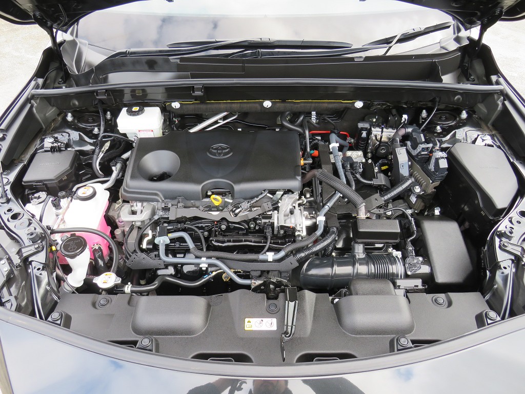 S8101820.jpg