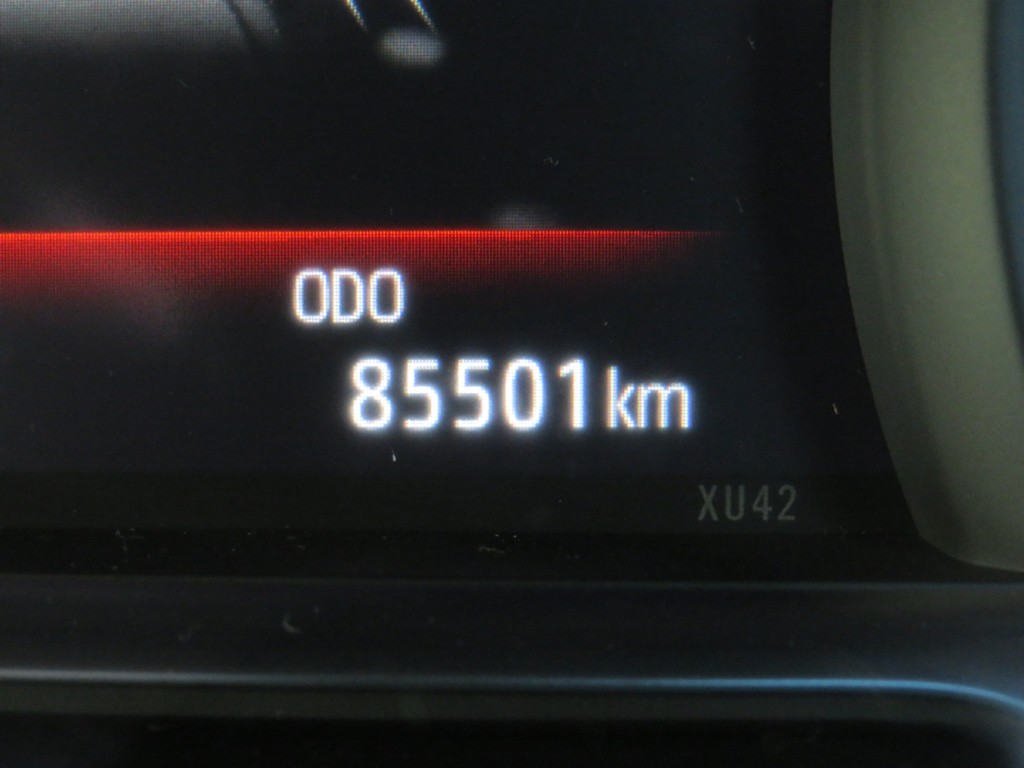S8101919.jpg