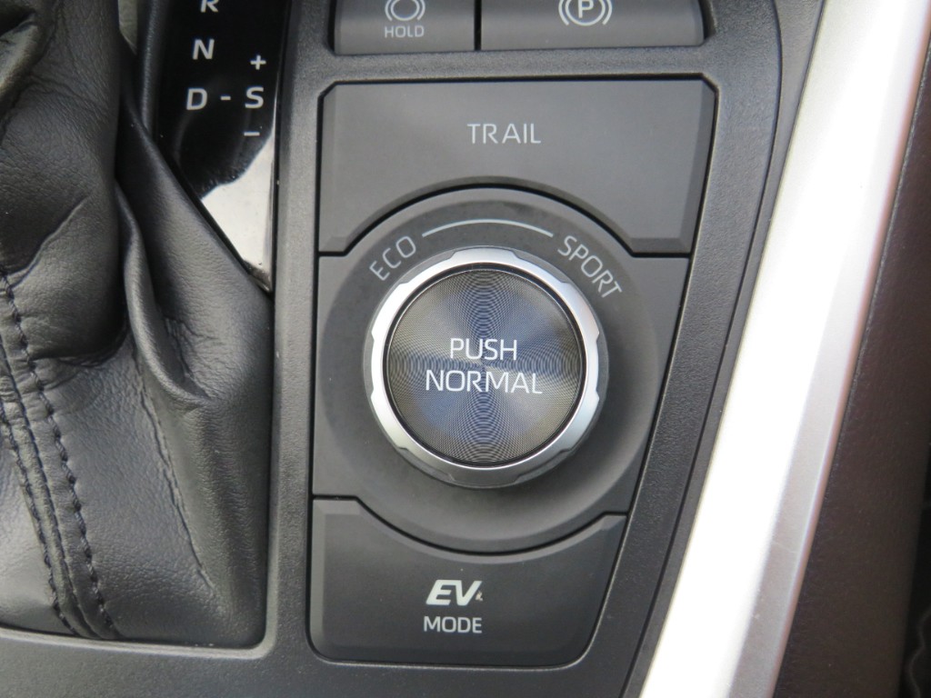 S8102316.jpg