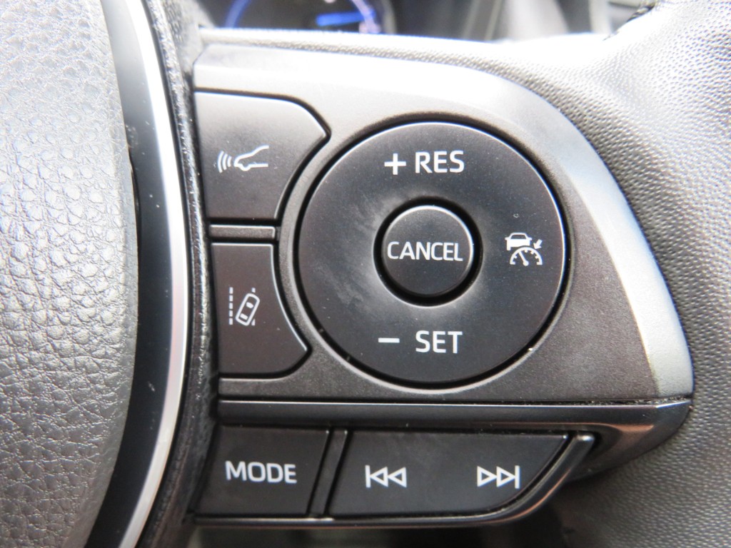 S8102317.jpg