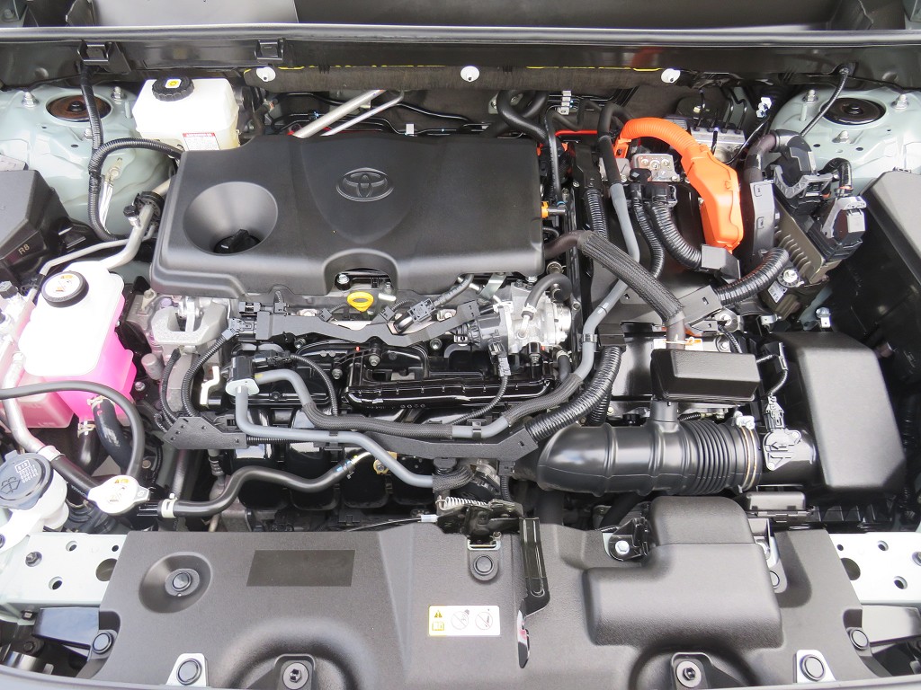 S8102321.jpg