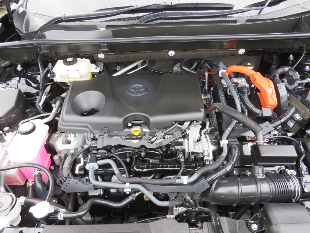 S8102420.jpg