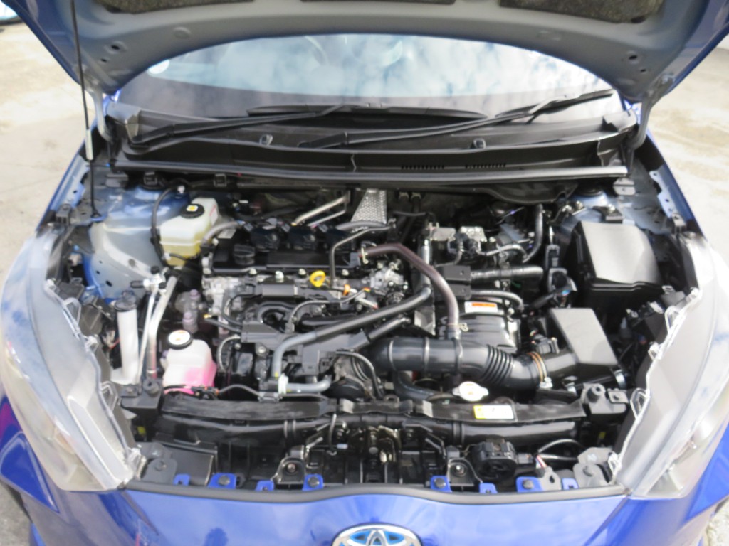 S8102821.jpg