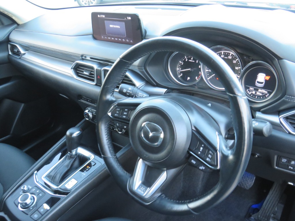 S8103113.jpg