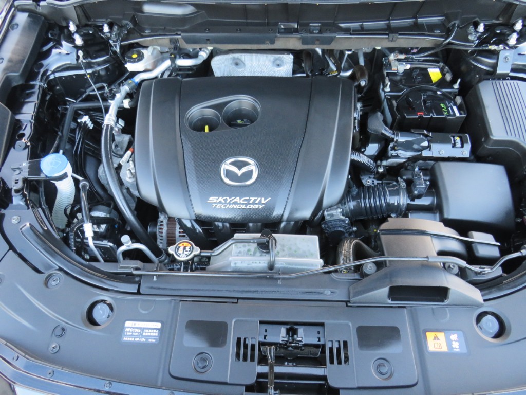S8103119.jpg