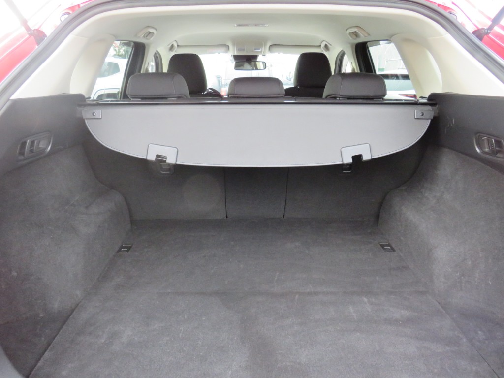 S8103210.jpg