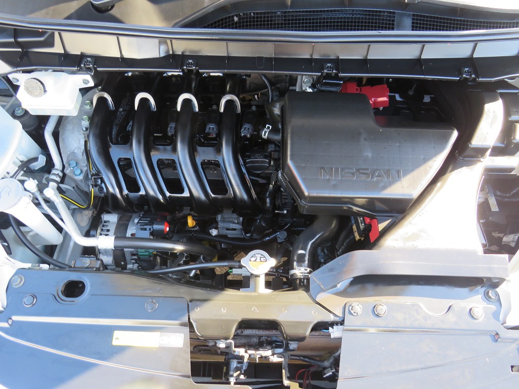 S8104020.jpg