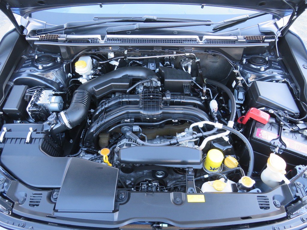 S8104320.jpg