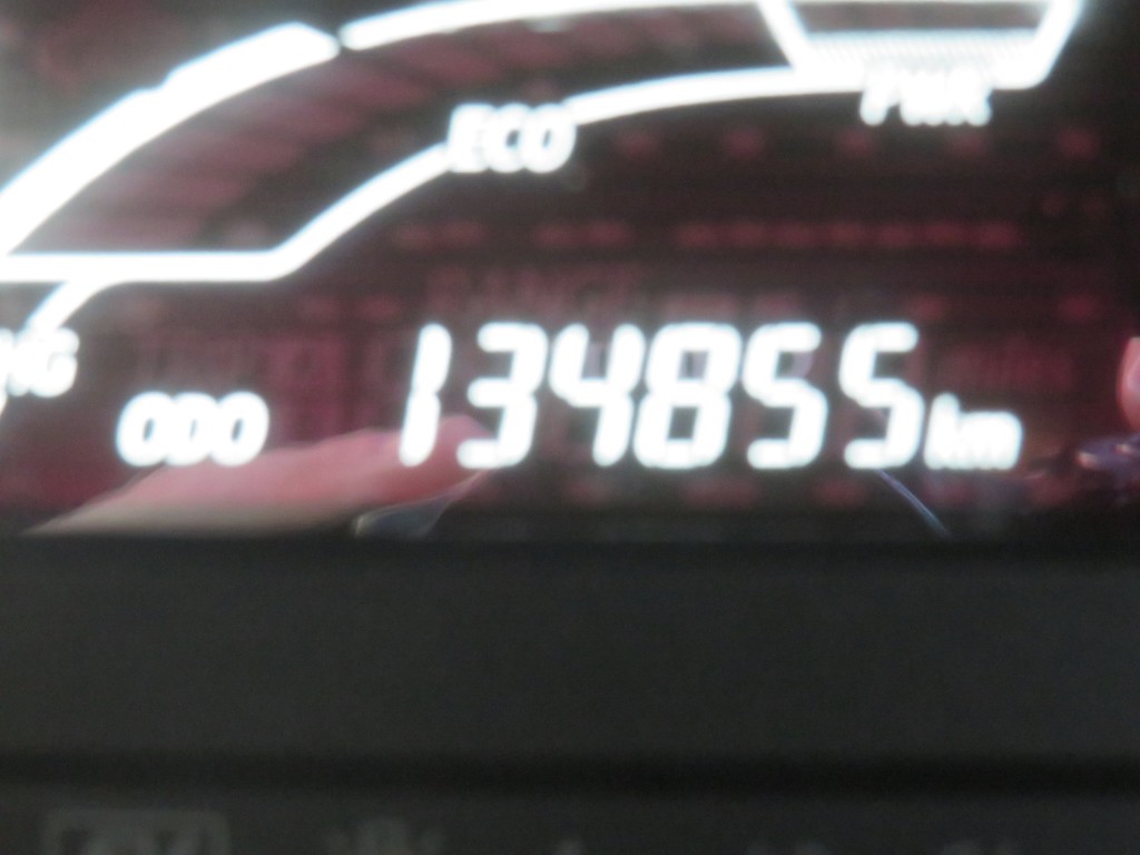 S8104518.jpg