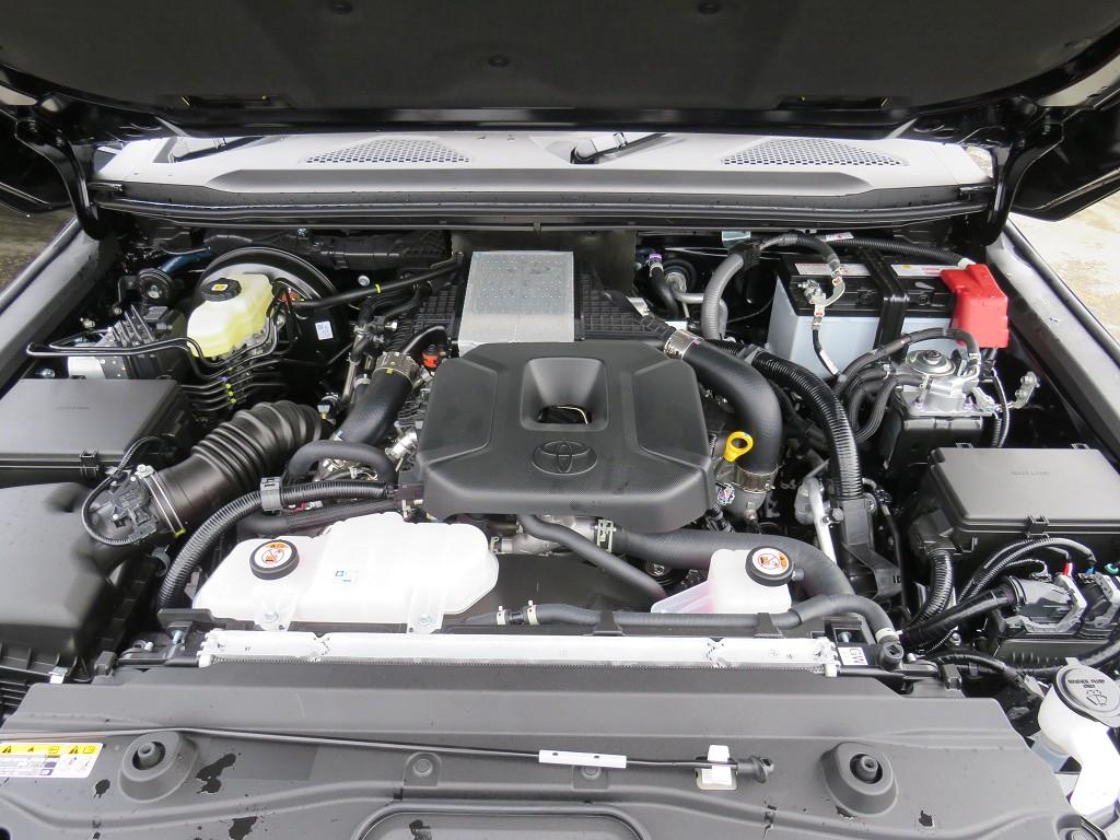 S8104920.jpg