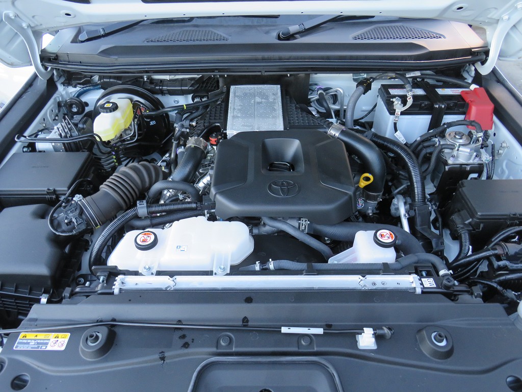S8105020.jpg
