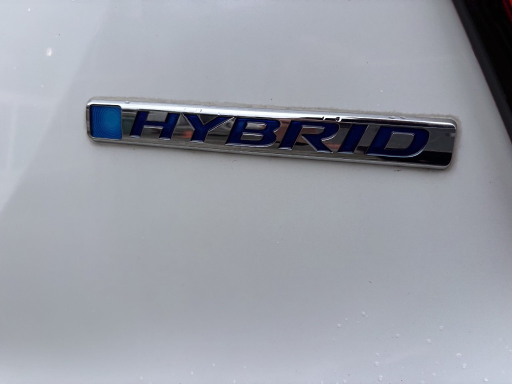 S8105318.jpg