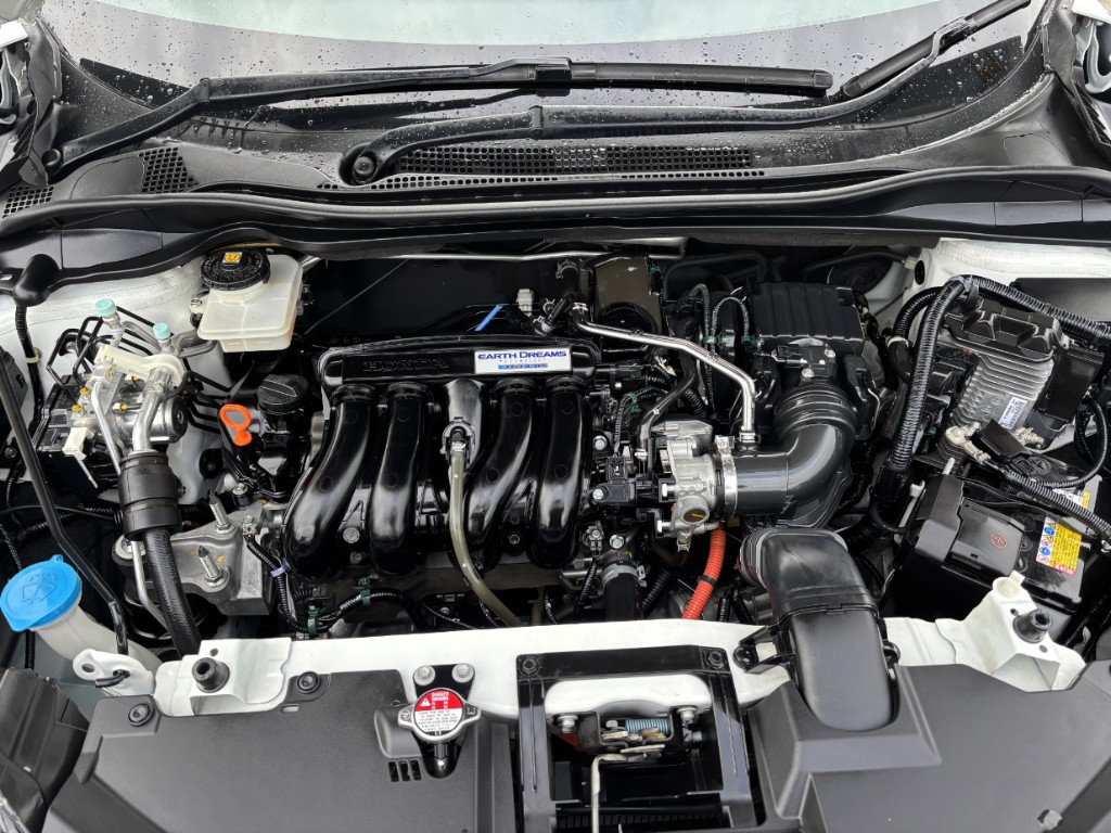 S8105320.jpg