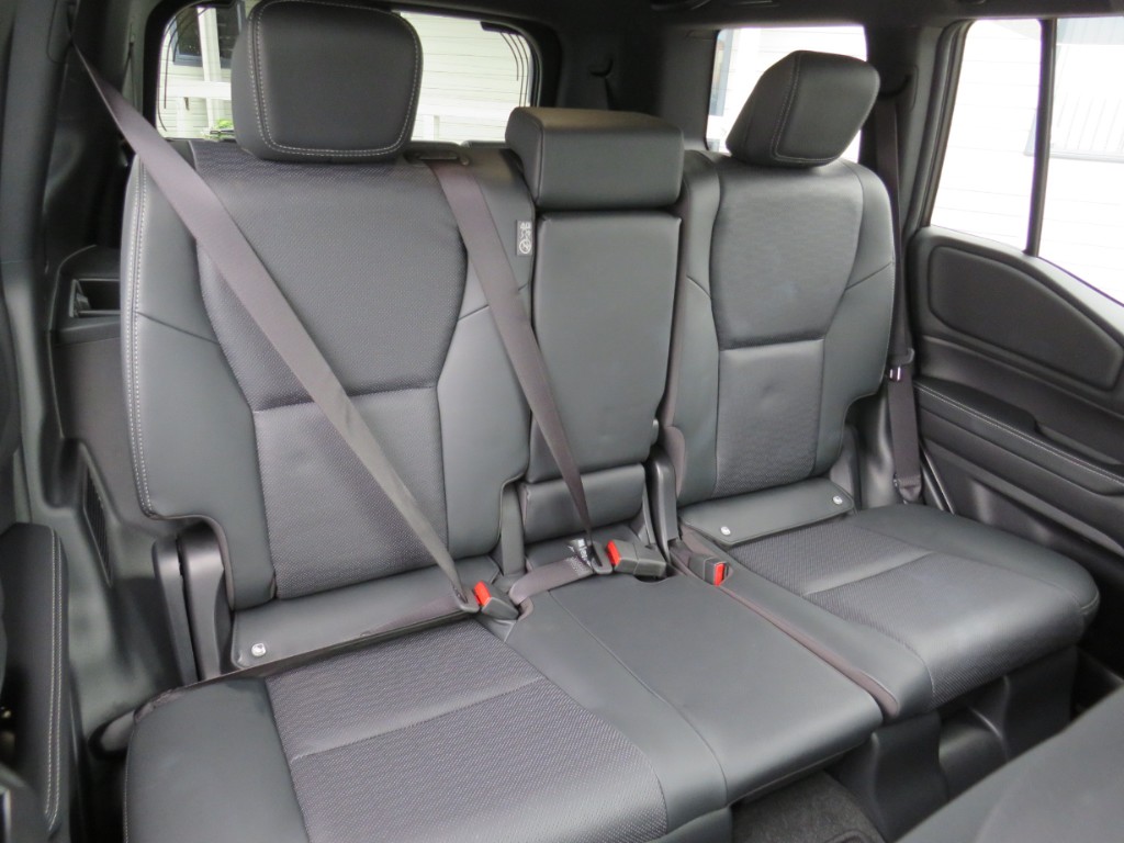 S8106013.jpg