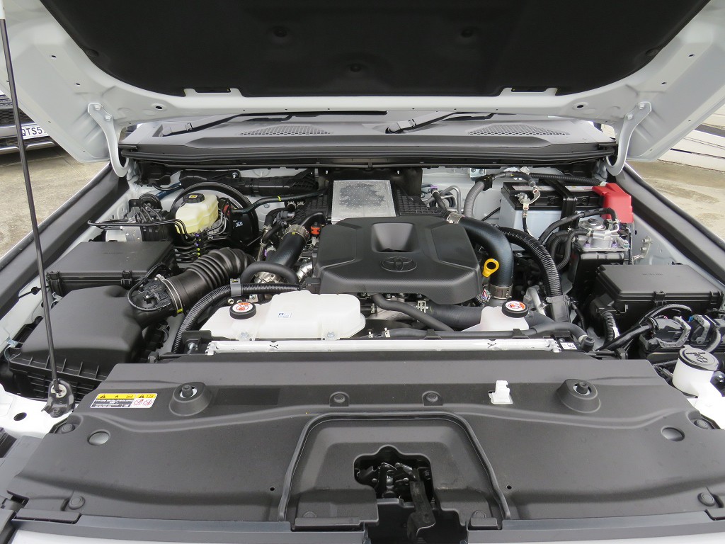 S8106020.jpg