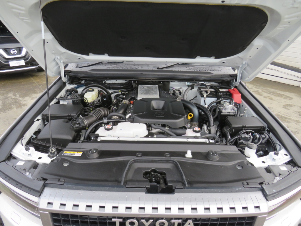 S8106216.jpg