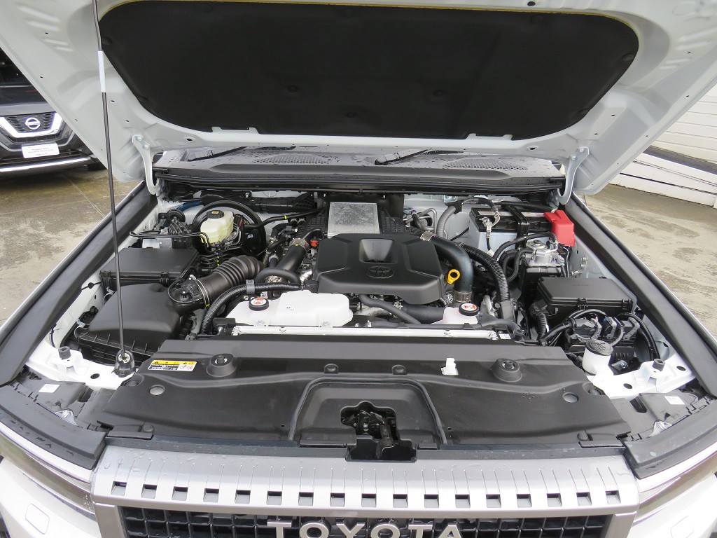 S8106220.jpg