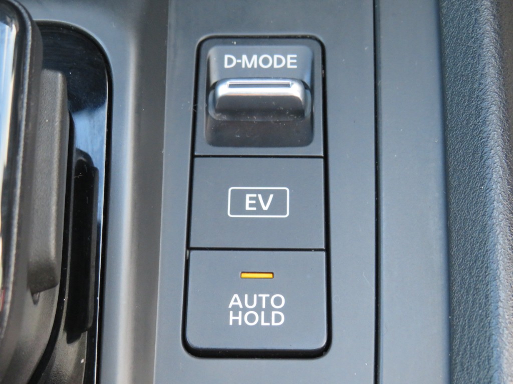 S8106616.jpg