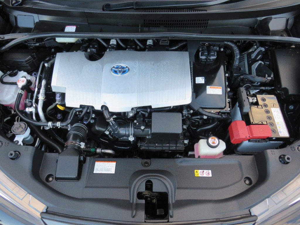 S8107818.jpg